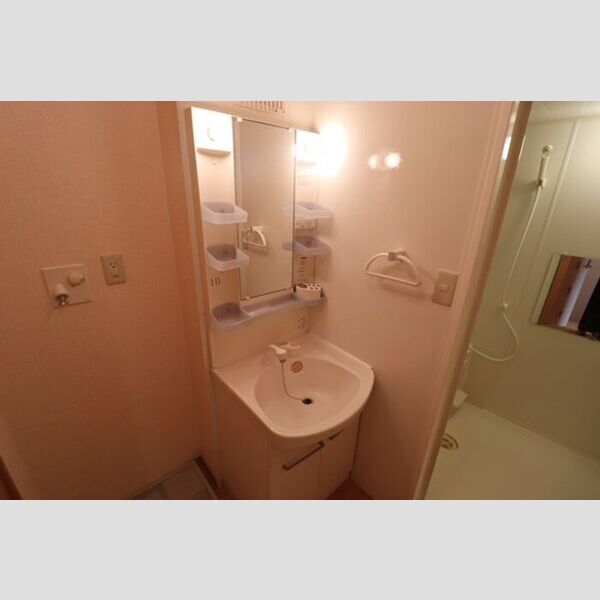 ダッシュコート 洗髪洗面化粧台