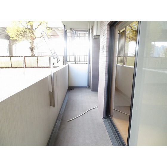 サンクレイドルレヴィール池袋0301号室 バルコニー