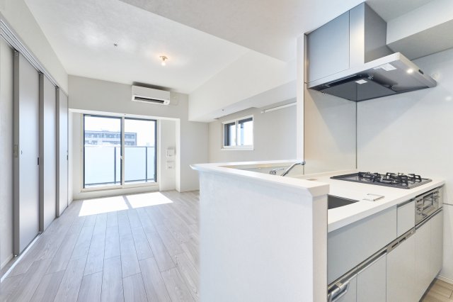 プラウドフラット錦糸町ウエスト1306号室 参考写真