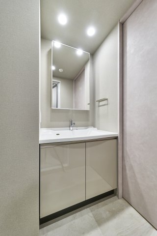 プラウドフラット三越前イースト1002号室 洗面