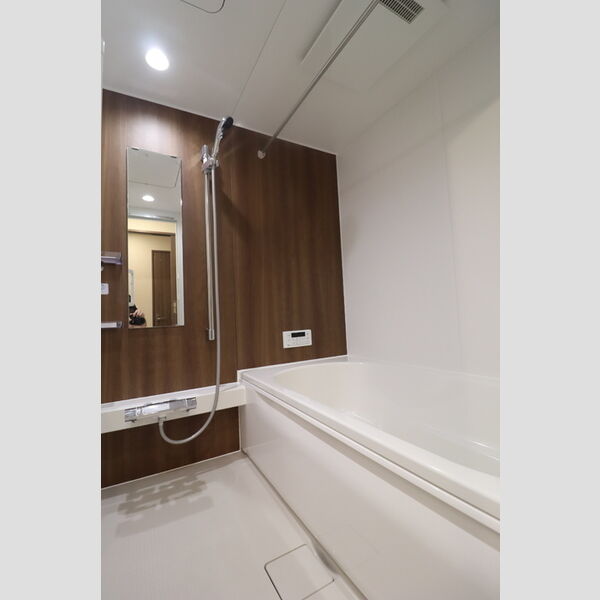 D-ROOM 分梅203号室 浴室