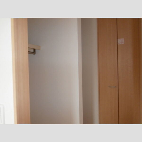 グッドベルテ横浜302号室 クローゼット