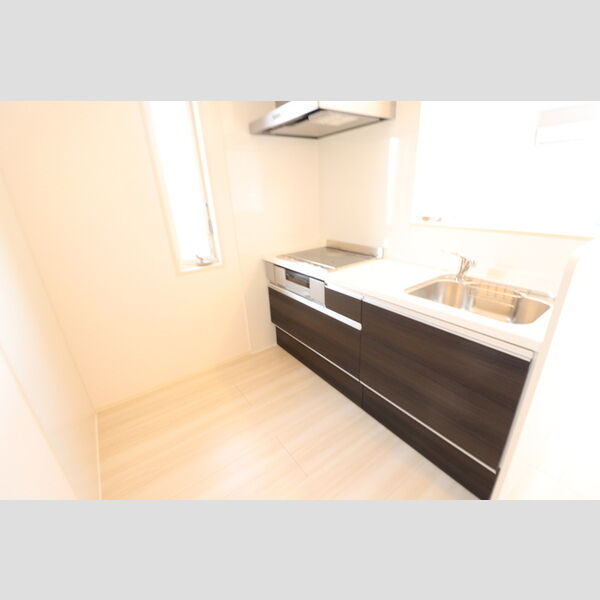 ルミエール(入間) システムキッチン