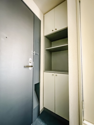 インペリアル南麻布サテライト503号室 玄関