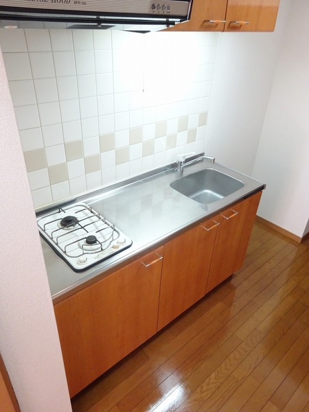 ルーブル豊玉Ⅱ201号室 キッチン