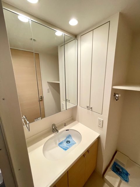 レジディア市ヶ谷Ⅱ14階 洗面