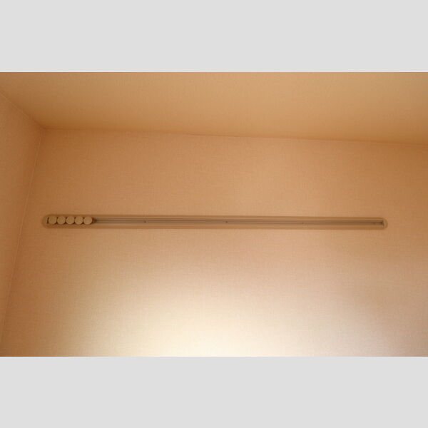 バニュルス　Ⅰ・Ⅱ・ⅢⅠ102号室 ハングバー