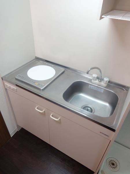 菱和パレス池袋本町202号室 キッチン