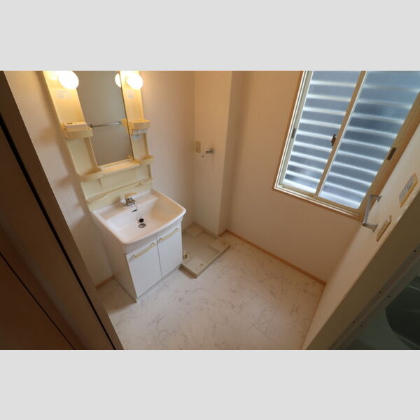 リビングタウン北上尾　A102号室 洗面室