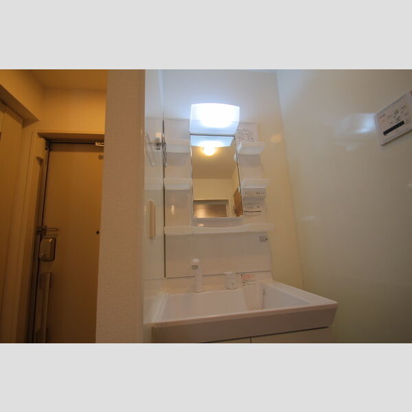 リビングヴィレッジ新柴又 洗面