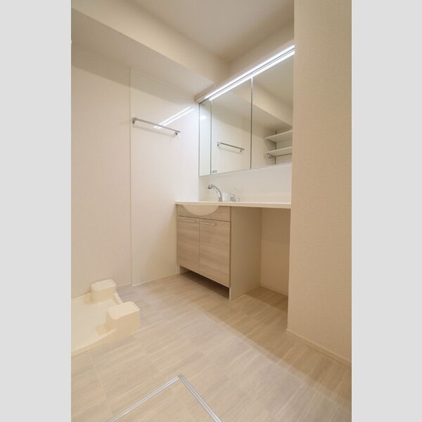 モンステラ 洗髪洗面化粧台