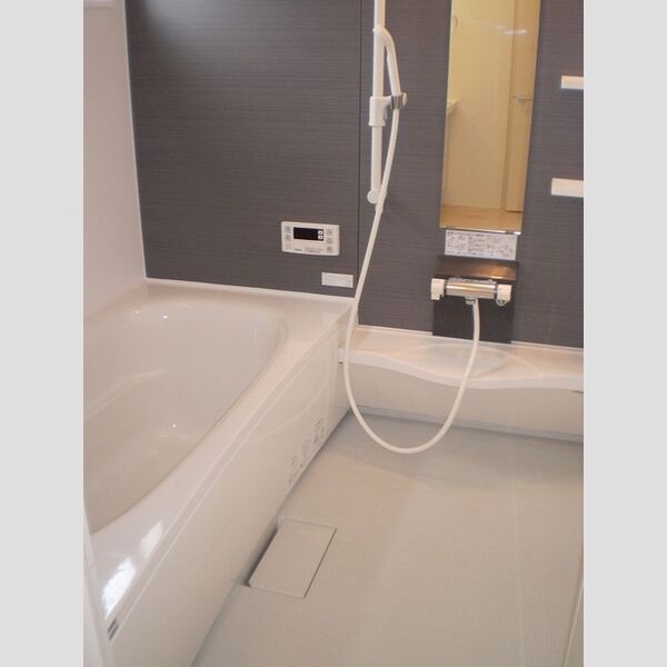 セレナ東海岸北A201号室 浴室