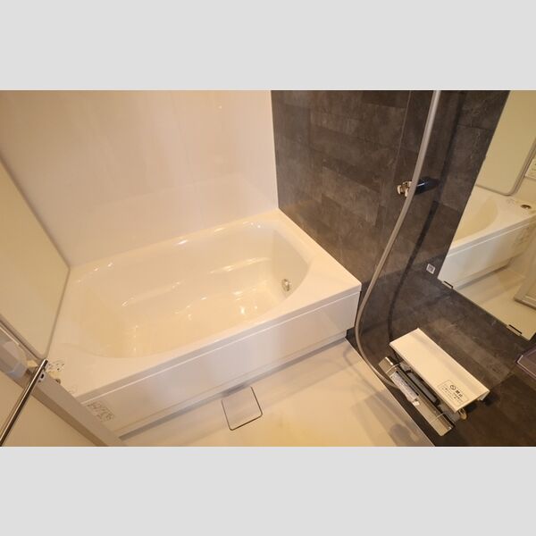 THE RejuvePort KISARAZU0704号室 浴室