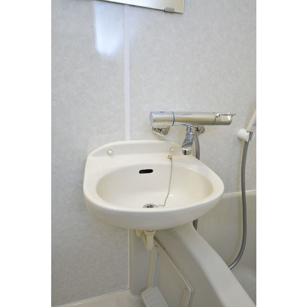 ロイヤルエモンド藤沢0101号室 洗面