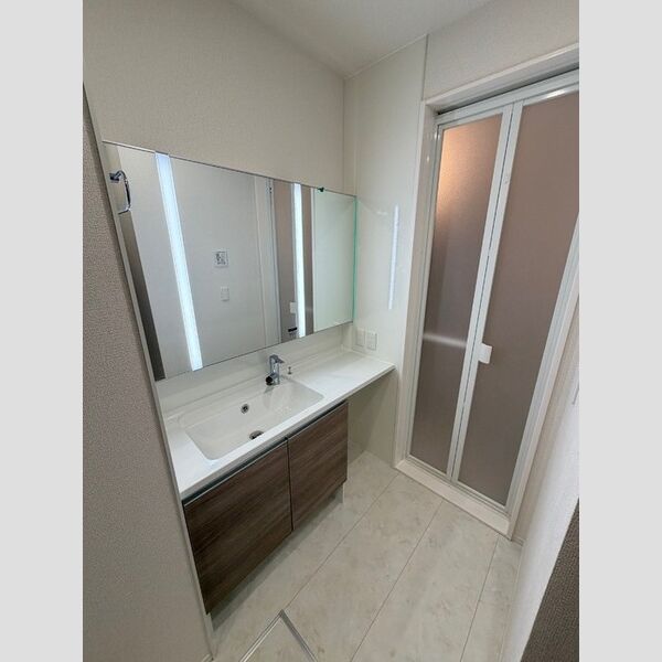 アンスリウム湘南台103号室 洗面室