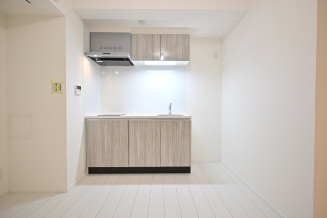 Ｔｈｅ　Ｒｅｓｉｄｅｎｃｅ　Ｎｉｈｏｎｂａｓｈｉ地下1階 キッチン