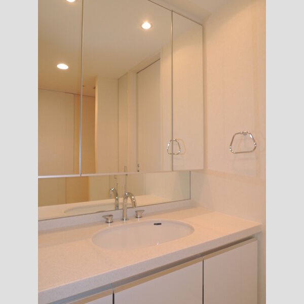 カスタリア池袋1403号室 洗面