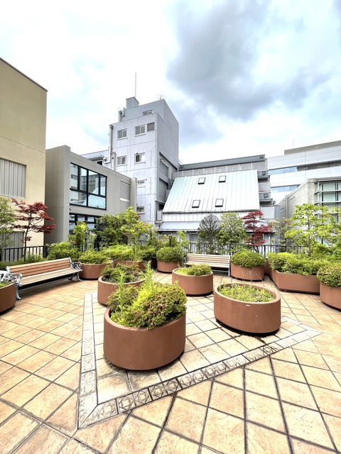 グランド・ガーラ南麻布13階 ３Ｆ庭園