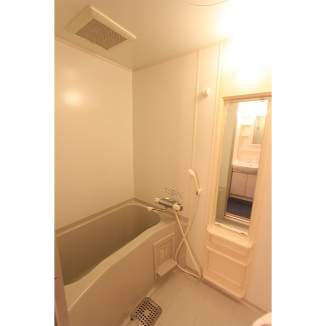 セレステ　ディオーサ204号室 お風呂