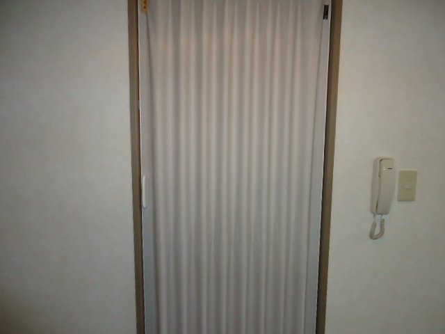グランドール205号室 アコーディオンカーテン