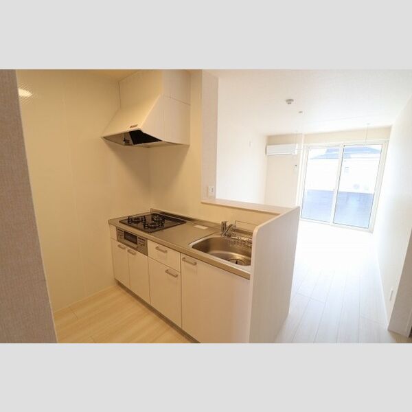 リアルコートE101号室 対面システムキッチン