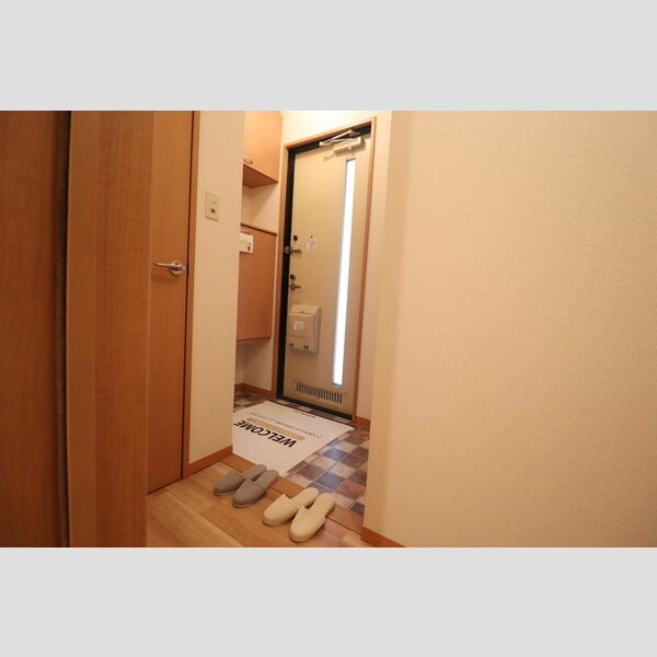リビングタウン野田　ABCA201号室 玄関