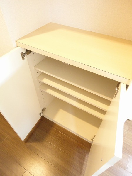 ダイホープラザ入谷1202号室 収納