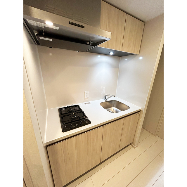 ブランシエスタ品川大井町パークエッジ0406号室 キッチン