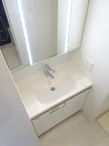 リヴシティ横濱関内弐番館507号室 洗面