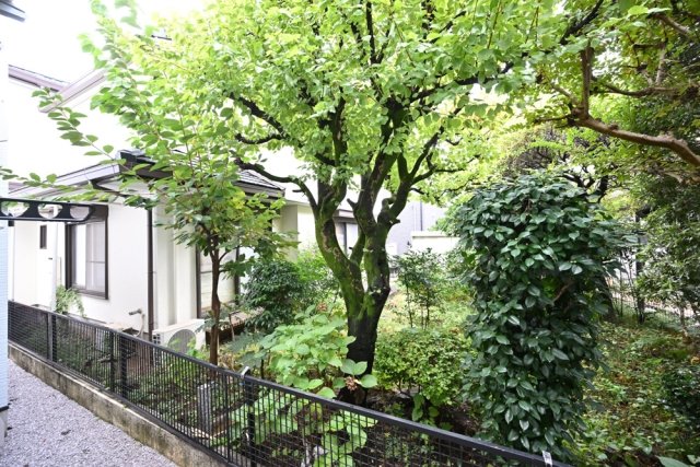 ソルナクレイシア吉祥寺本町1階 展望