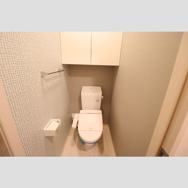 メゾンドアヴァンセ101号室 トイレ