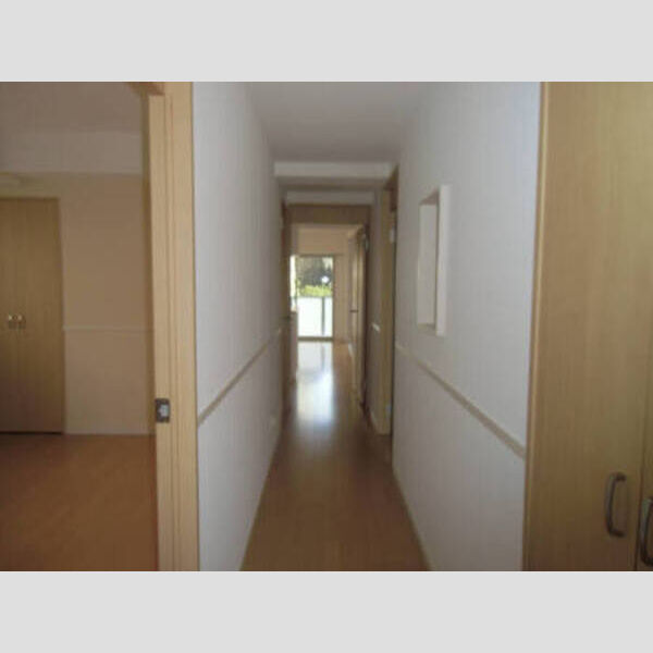 ベルファミーユ高根台Ⅲ101号室 101 廊下