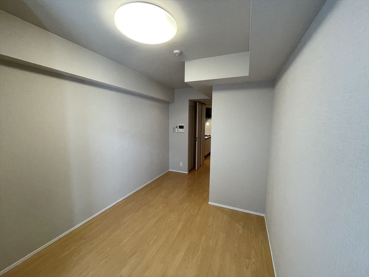 DIPS大山東町801号室 リビング