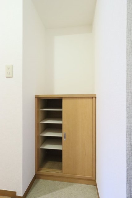 ＤｅＬＣＣＳ　ayase　Ⅲ 靴入