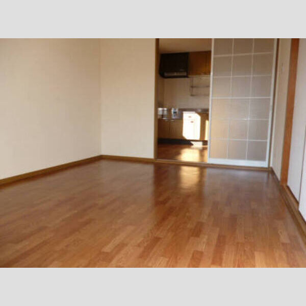 サニータウンC C203 DK+洋室