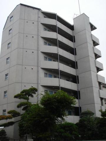 Ｗｉｓｔｅｒｉａ湘南0802号室 9階建て