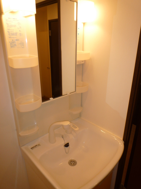 パラドール2-D号室 洗面