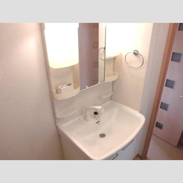 メゾンフラッシュ　Ⅱ201号室 洗髪洗面化粧台