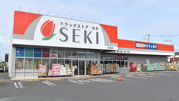 ブルーハイムふじみん 【ドラッグストア】ドラッグストア セキ 新駒林店まで549ｍ