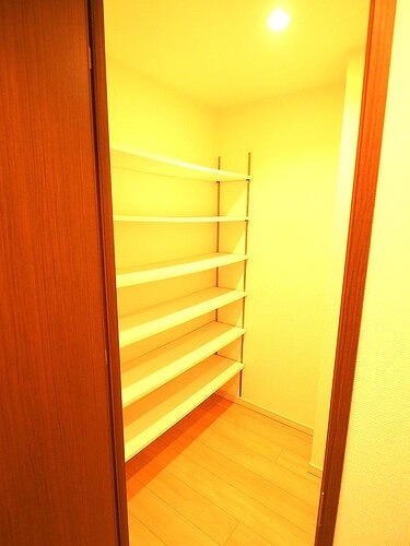 ライオンズ多摩センター　翠彩の杜 納戸約1帖