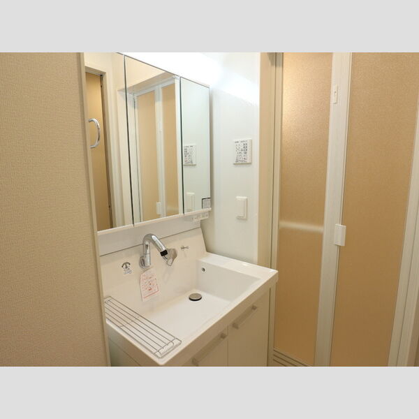 ロゼ　清新102号室 洗面所