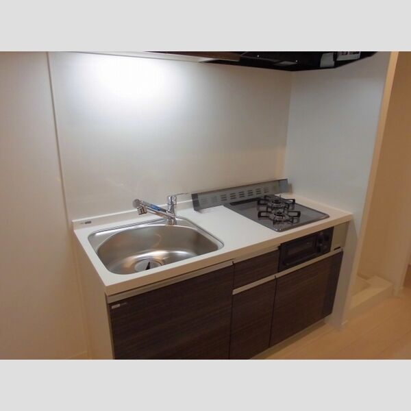 PLUM　VILLAGE205号室 システムキッチン