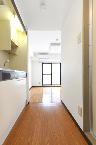 スカイコートお茶の水女子大前 ※同タイプ参考写真