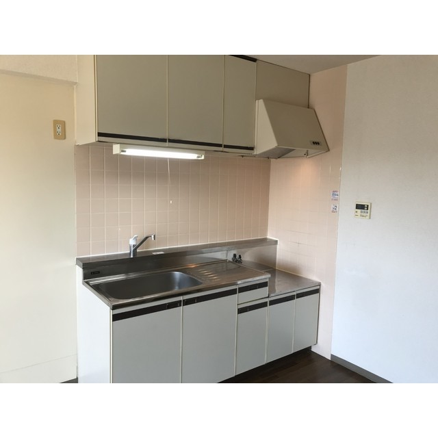 パストラルはせがわ（天幸ビル66）205号室 キッチン