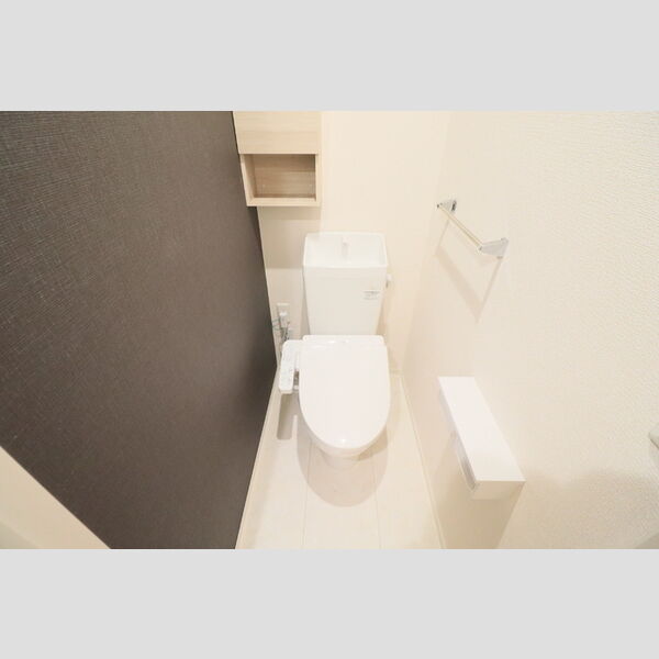 D Paina 中野島Ⅱ303号室 トイレ