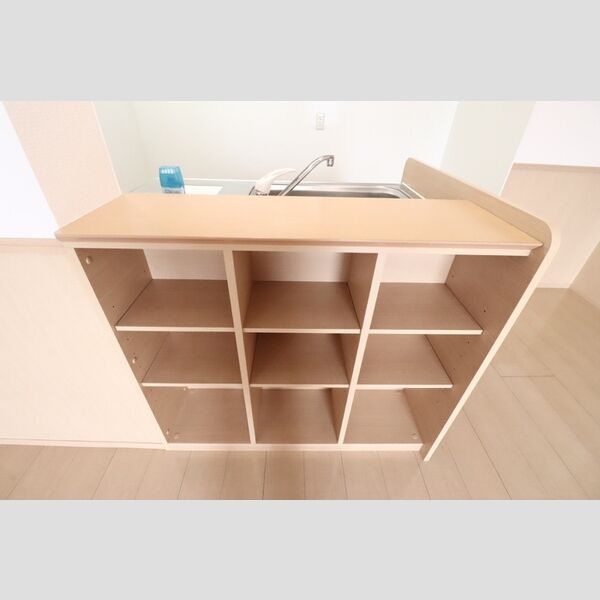 カーサ ビアンカ201号室 対面キッチン下収納