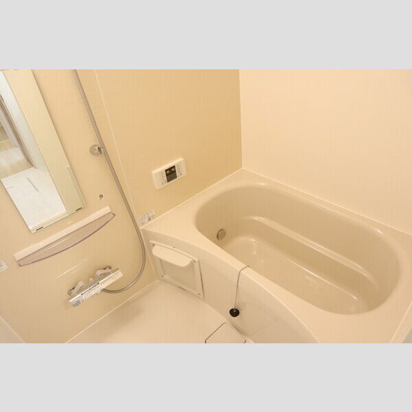 ソレイユ　ラ　コリーヌ東川口 浴室