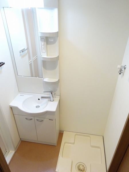 ラフィスタ宮崎台502号室 洗面