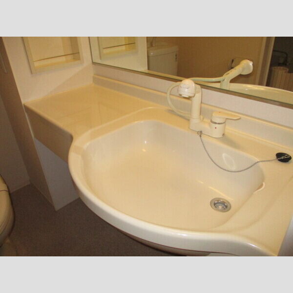 プルメリア 洗髪洗面台