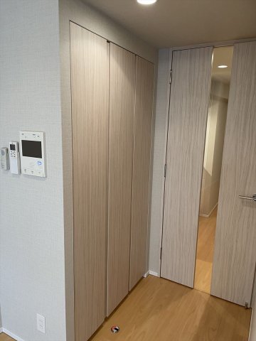 DIPS大山東町801号室 収納